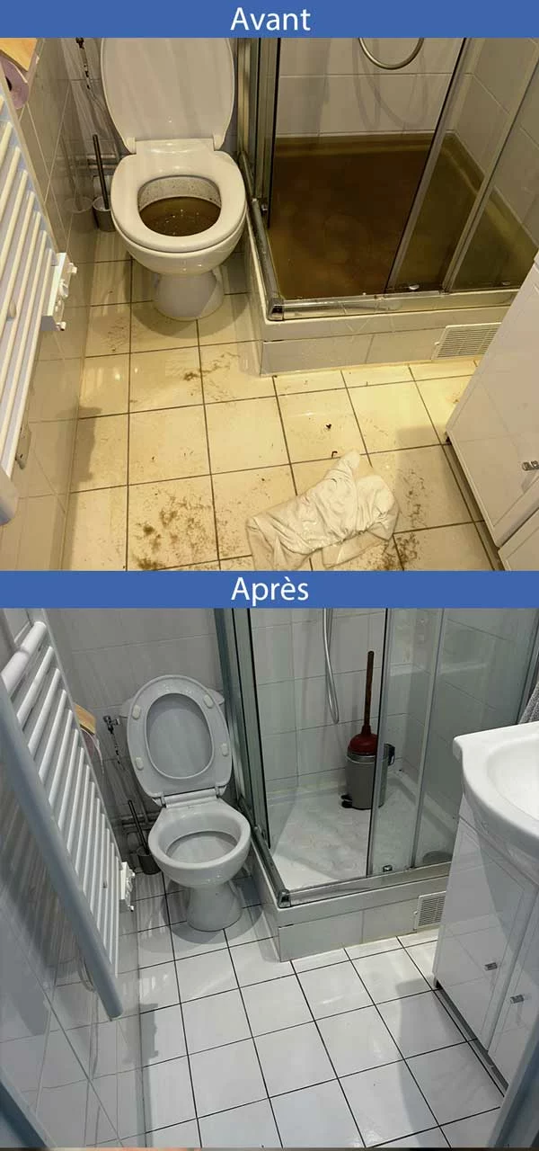 débouchage des toilettes